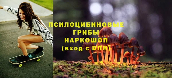 гидропоника Аркадак
