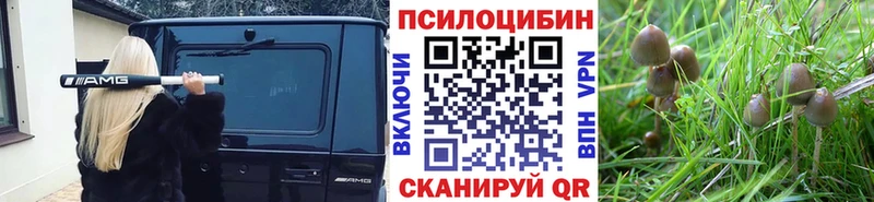 мега ONION  Саяногорск  Галлюциногенные грибы мицелий 